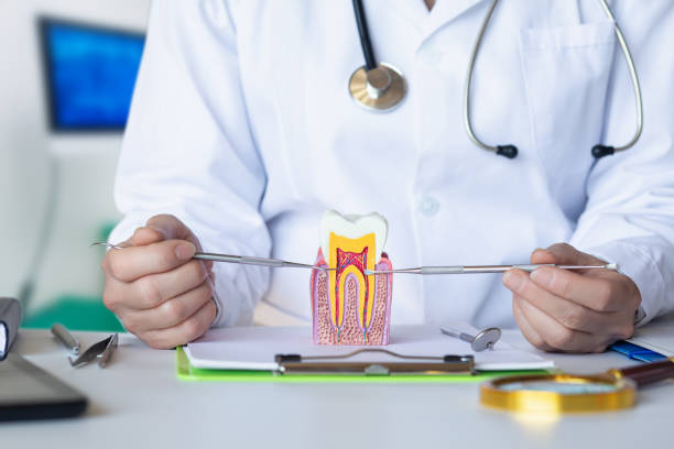 Best Emergency Treatment for Toothache in Amherst, TX